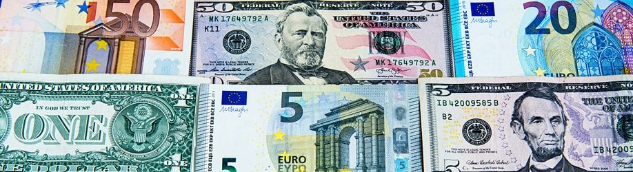 Fremdwährungen (Euro und US-Dollar)