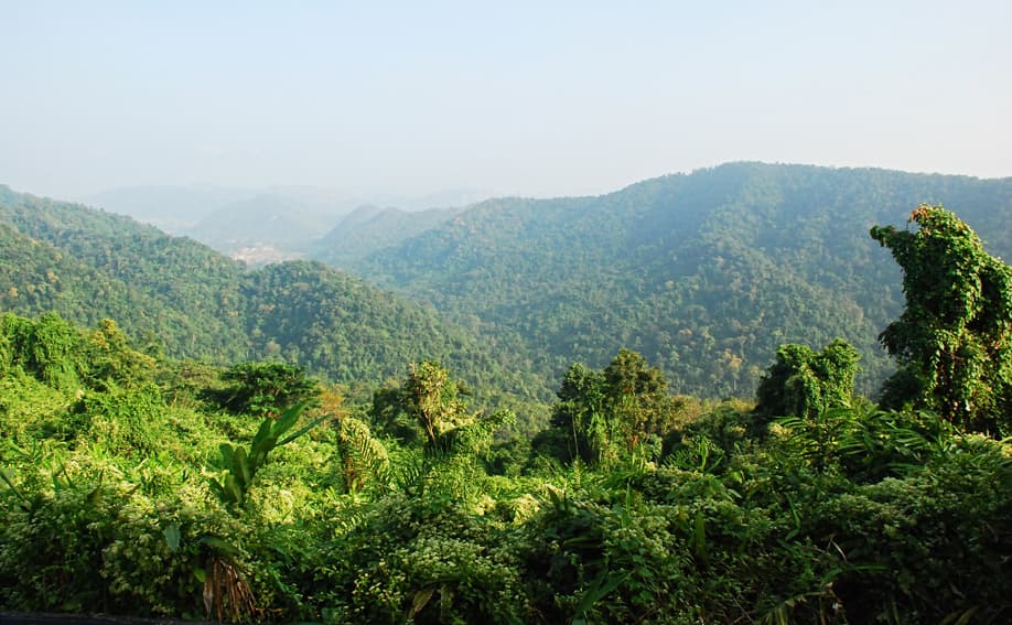 Khao Yai Nationalpark.