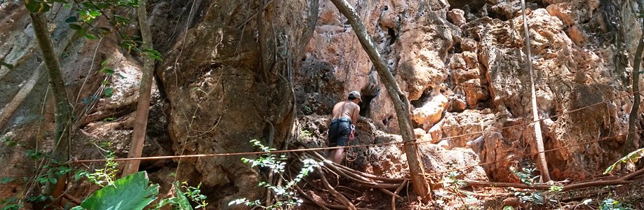 Kletterer an einer Felswand in Railay.