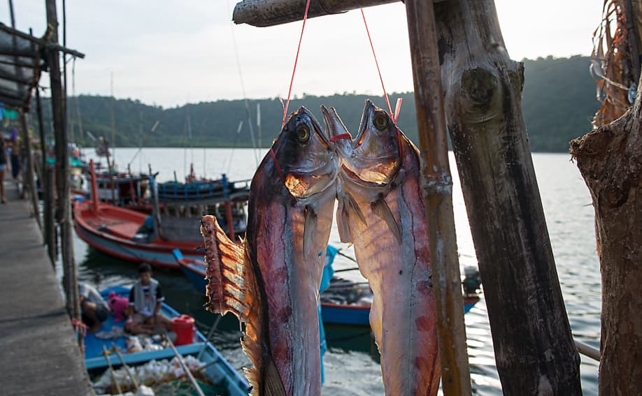 Zum Trocknen in der Sonne hängende Fische am Ao Salad Pier.