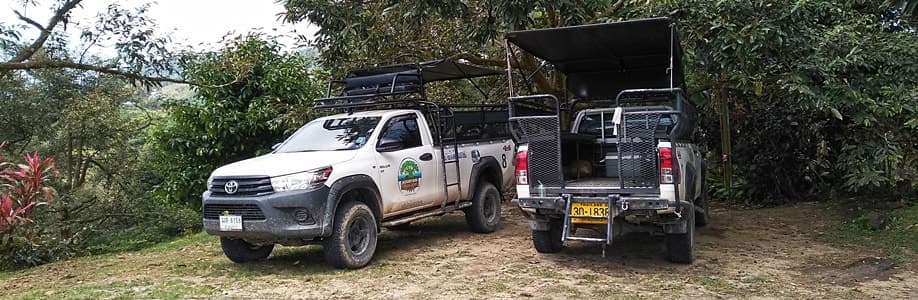 Tour-Jeeps auf Samui.