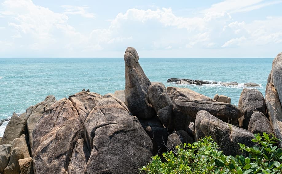 Hin Ta