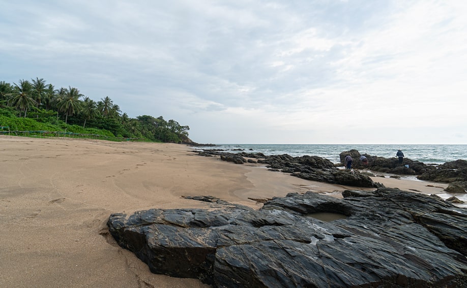 Einheimische ernten Muscheln von den Felsen am Nui Strand.