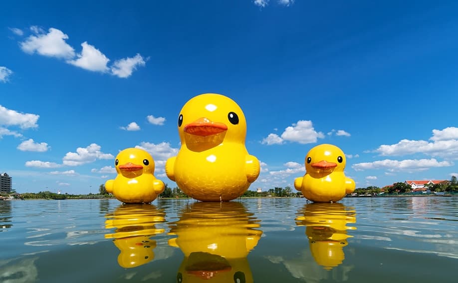 Enten als Touristenattraktion im Nong Prajak Lake Udon Thani.