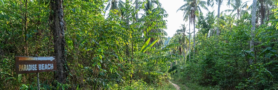 Weg zum Paradise Beach auf Koh Ngai.