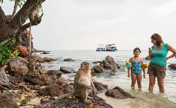 Nual Beach - Touristen füttern Affen am Strand